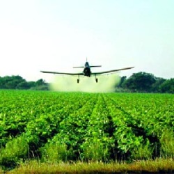 Agrochemicals and pesticides