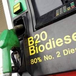 Biodiesel bioethanol