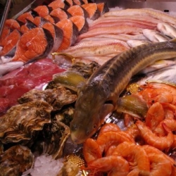 Fisch-Gastronomie