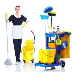 Personal services, cleaning