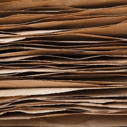 Целлюлоза, древесная масса, бумага и картон