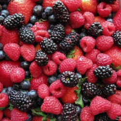Fruit and berries cultures