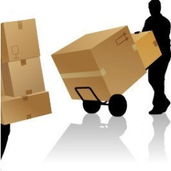 Loading/unloading services