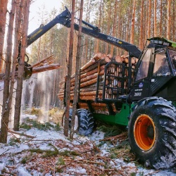 Услуги лесозаготовки и деревообработки